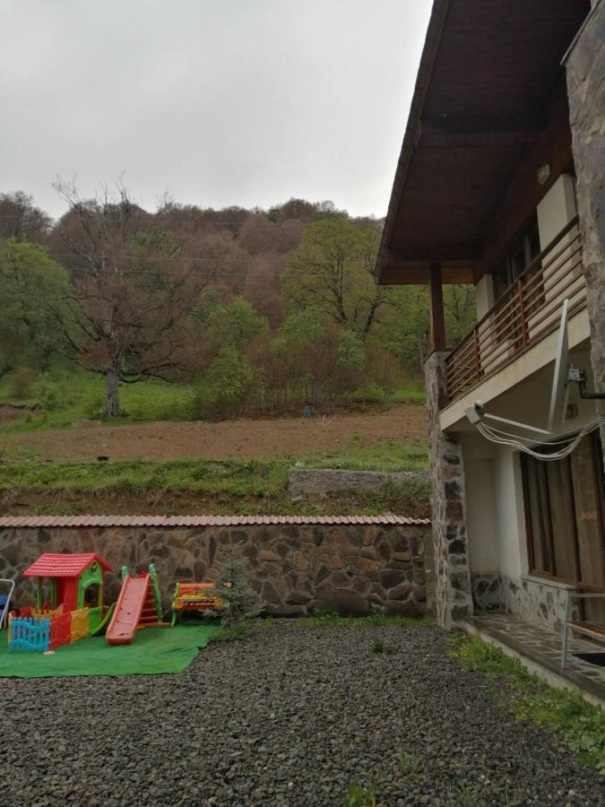 Konstantine'S Chalet Бакуриани Экстерьер фото
