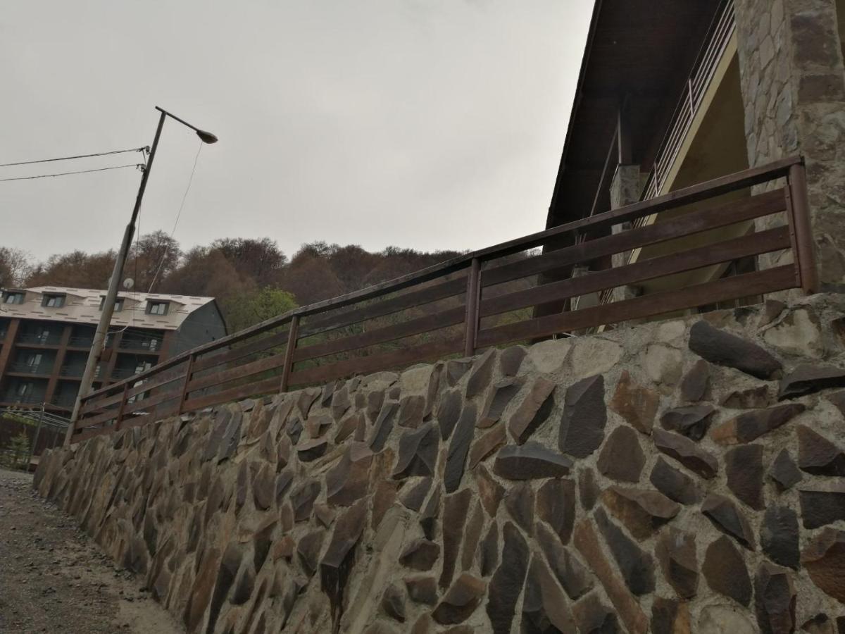 Konstantine'S Chalet Бакуриани Экстерьер фото