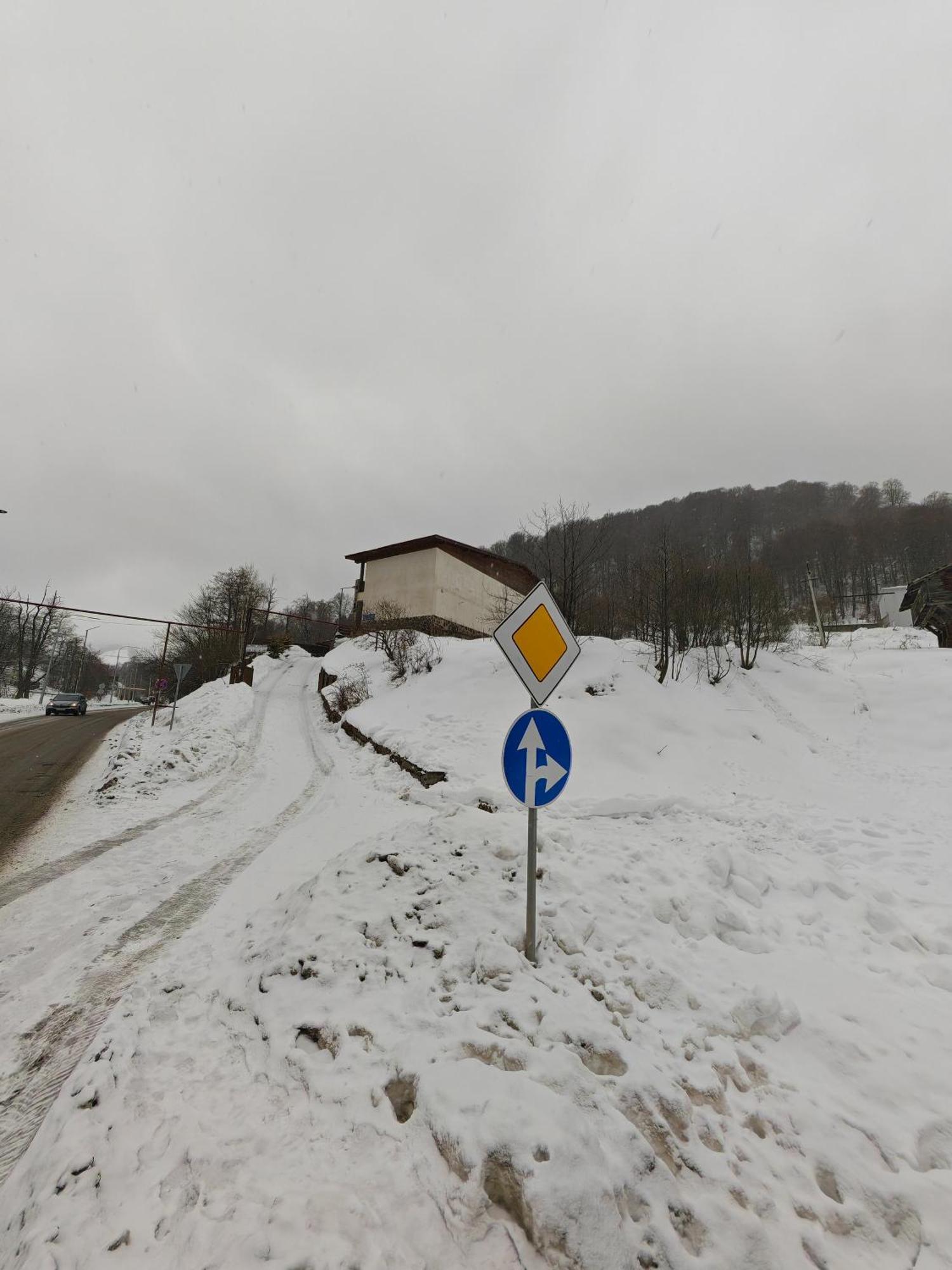 Konstantine'S Chalet Бакуриани Экстерьер фото