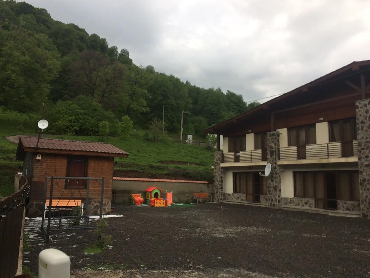 Konstantine'S Chalet Бакуриани Экстерьер фото